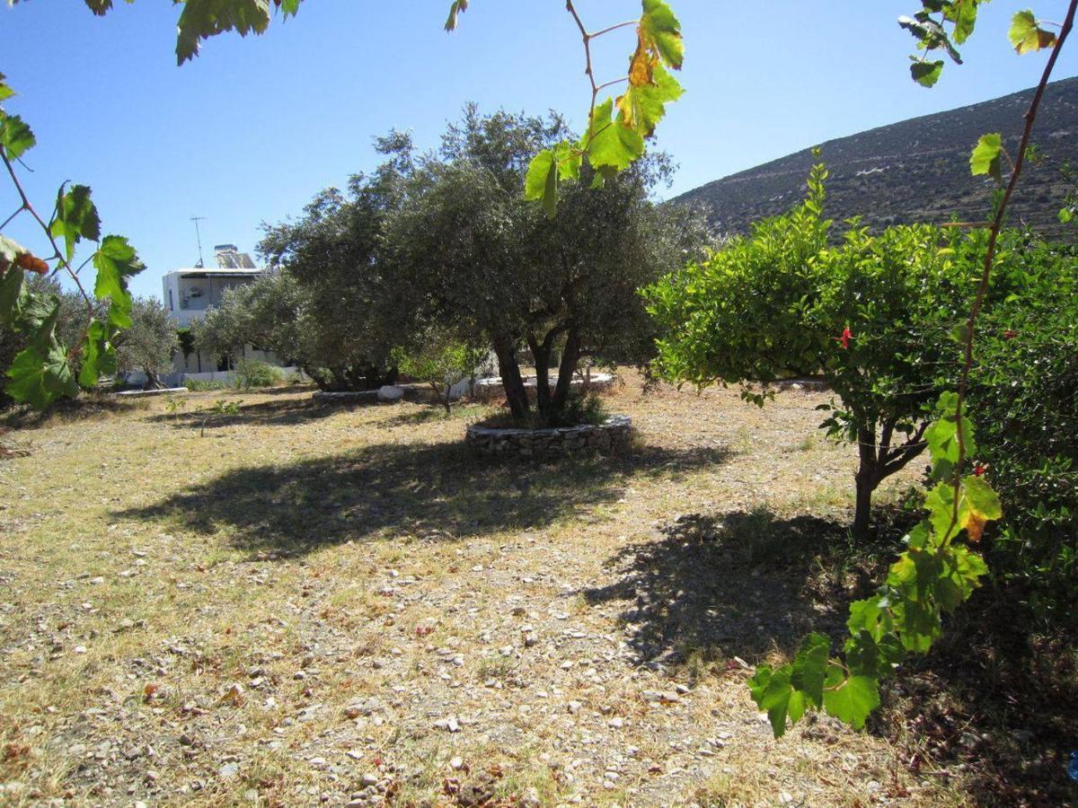 Elisso Villas Platis Gialos  Exterior foto