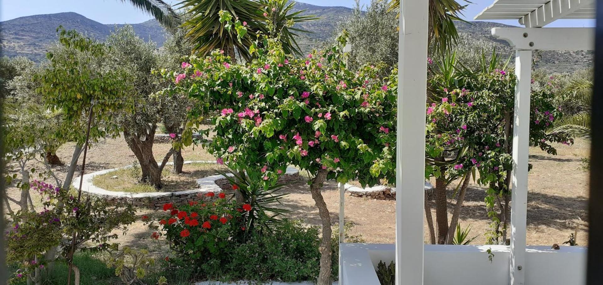 Elisso Villas Platis Gialos  Exterior foto