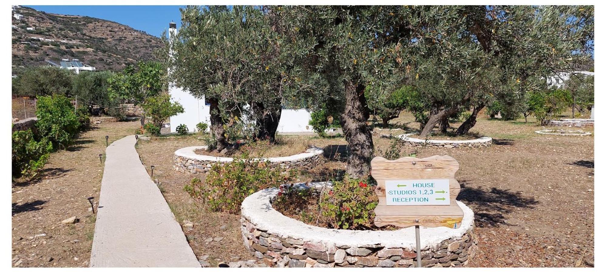 Elisso Villas Platis Gialos  Exterior foto